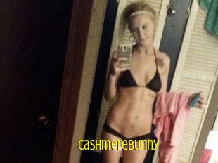 Cashmerebunny