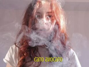 Cato_avocato