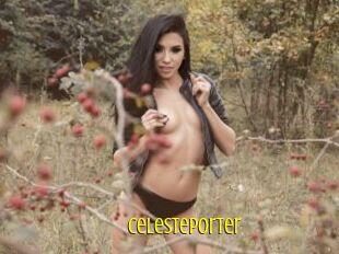 Celesteporter