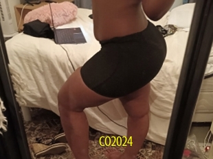 Co2024
