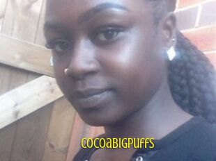 Cocoabigpuffs