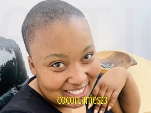 cocoflames23 Extraits Jeunes