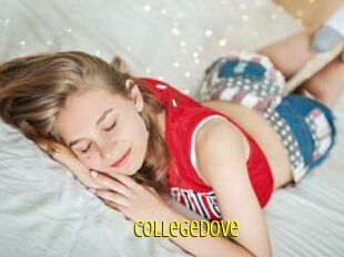 Collegedove