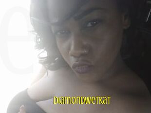 DiamondWetKat