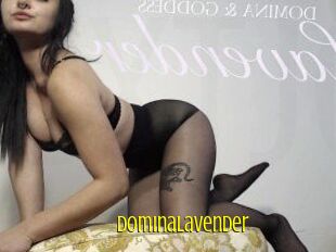 DominaLavender
