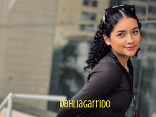 Dahliagarrido