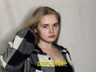 Daisygambee