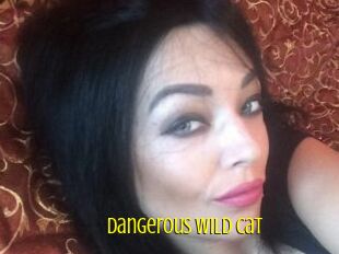 Dangerous_wild_cat