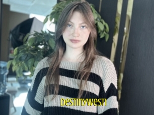 Destinywesti
