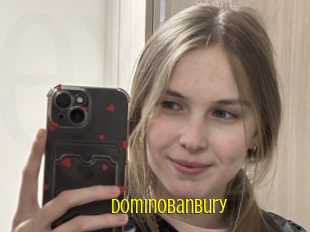 Dominobanbury