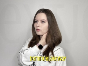 Dominoblakeway