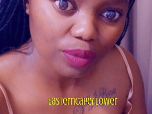 Easterncapeflower