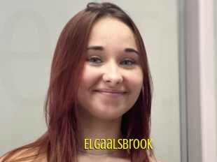 Elgaalsbrook