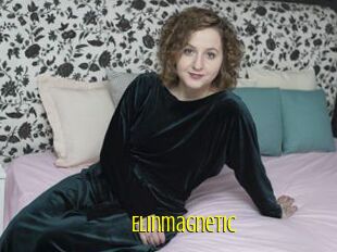 Elinmagnetic