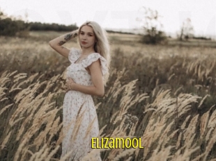 Elizamool