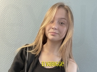 Elvabigge