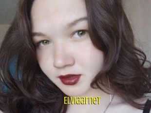 Elviaarnet