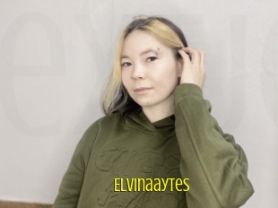 Elvinaaytes