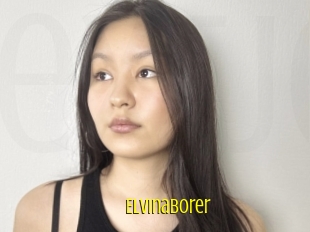 Elvinaborer
