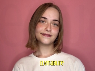 Elvinabute