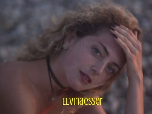 Elvinaesser