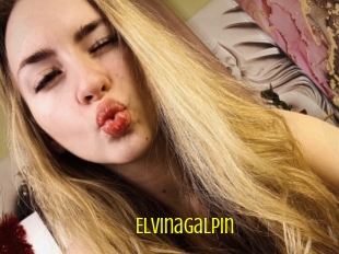 Elvinagalpin