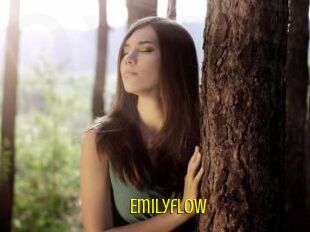Emilyflow