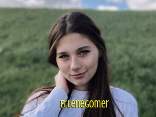 Erlenegomer