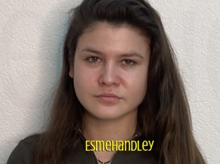 Esmehandley