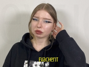 Evacherit