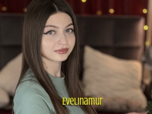 Evelinamur