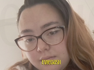 Eviedash