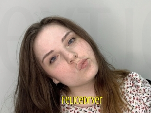 Felicedryer