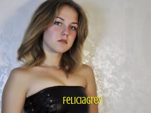 Feliciagrey