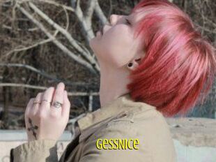 GessNice