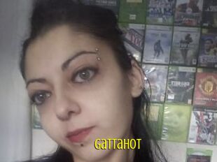 Gattahot