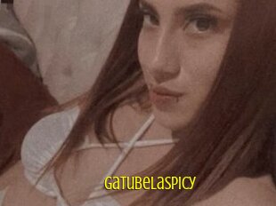 Gatubelaspicy
