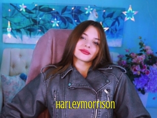 Harleymorrison