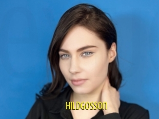 Hildgosson