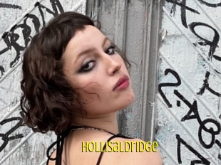Hollisaldridge