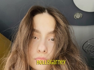 Hollisgarney