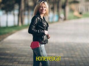 Honeyedcat