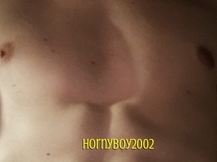 Hornyboy2002
