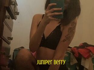 Juniper_Berry