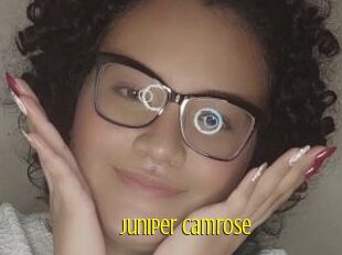 Juniper_camrose
