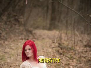 Kerosynee