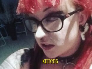 Kitten6