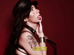 Kamicat