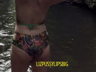 LIZPUSSYLIPSBIG
