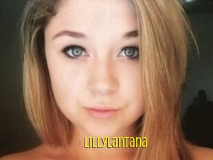 LillyLantana